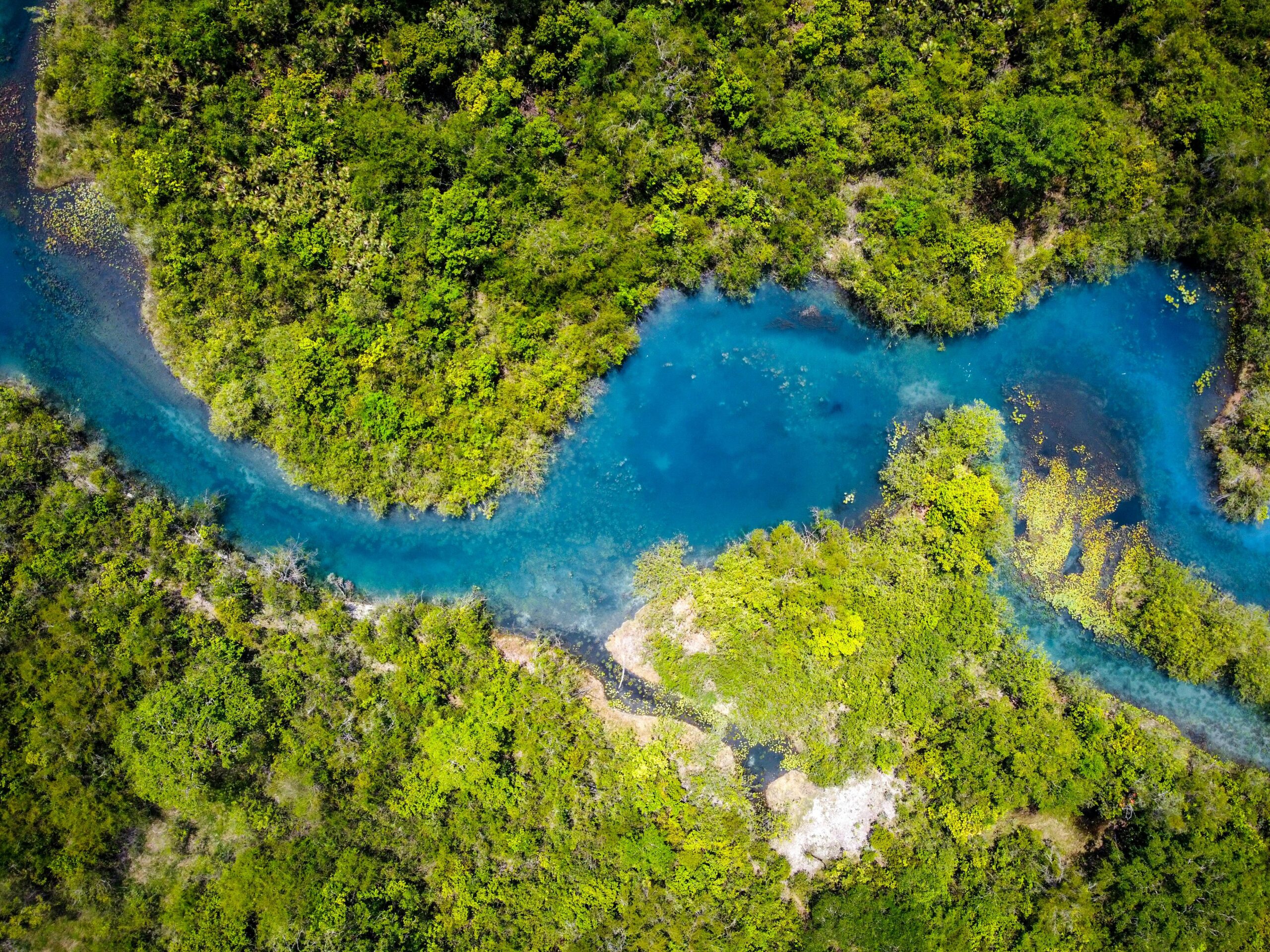 A breathtaking aerial shot capturing a winding blue river through vibrant green forest landscape.