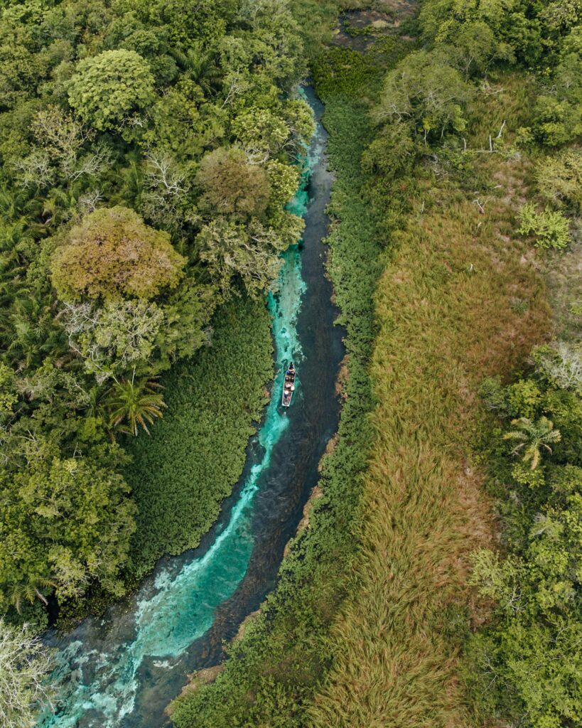 Discover the lush tropical landscape and crystal-clear river in Bonito, Brazil.